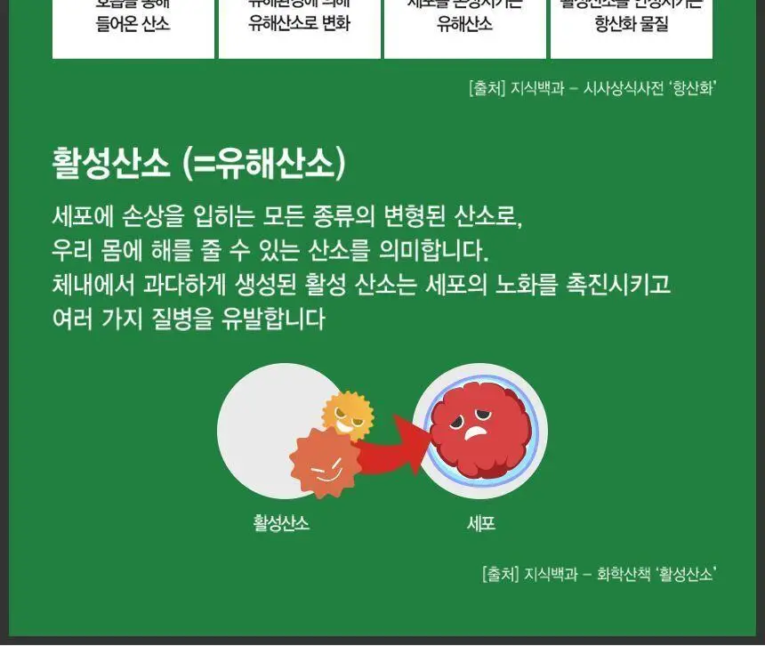 도펠헤르츠 이뮨플러스 아연+셀렌+비타민C+D+K 20포 (20일분) 상세페이지 19
