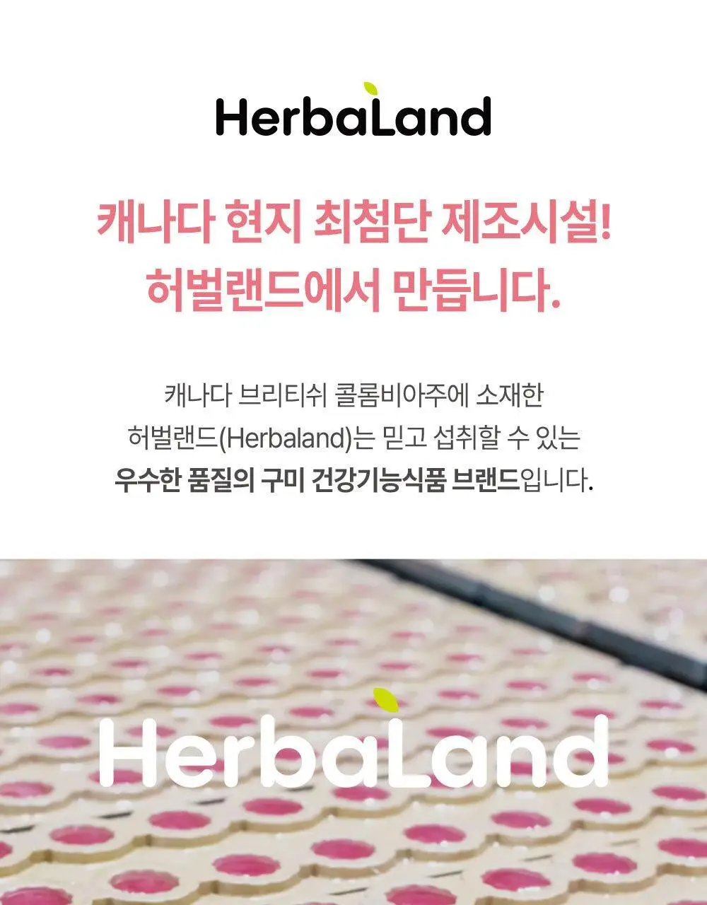 허벌랜드 비오틴 2500 mcg 이너플러스 식물성 구미젤리 30구미 (1개월분) 상세페이지 20