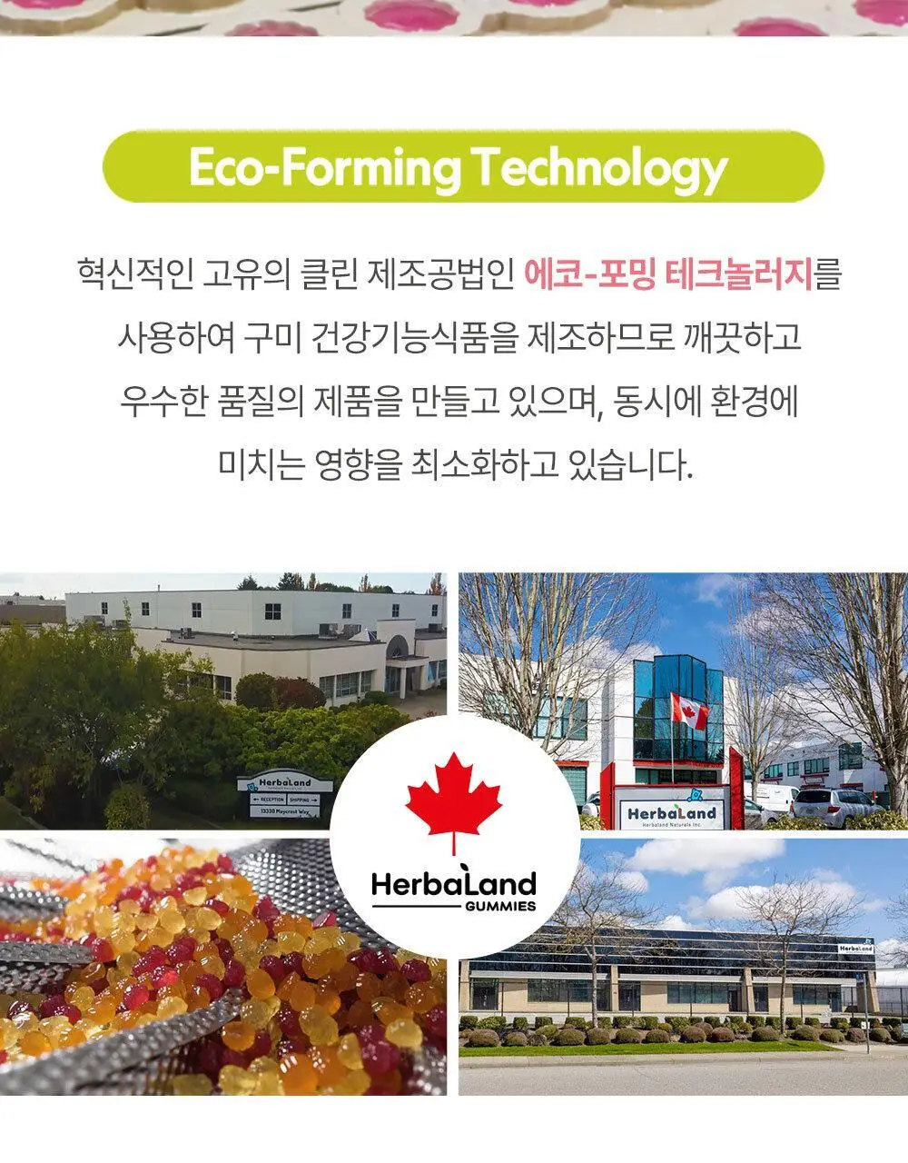 허벌랜드 비오틴 2500 mcg 이너플러스 식물성 구미젤리 30구미 (1개월분) 상세페이지 21