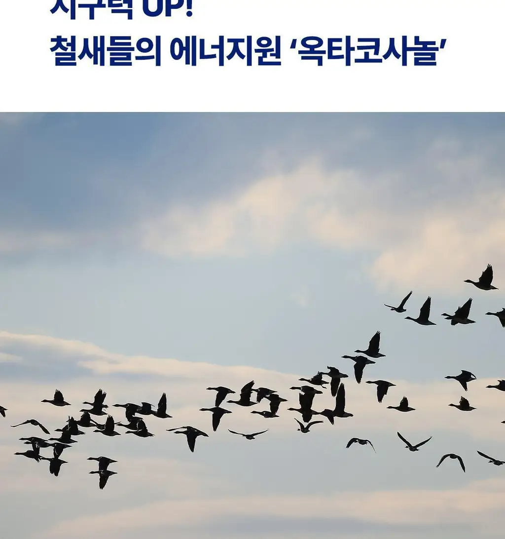 뉴케어 스포식스 옵티멈 비타민B (900mgX30정) 상세페이지 12