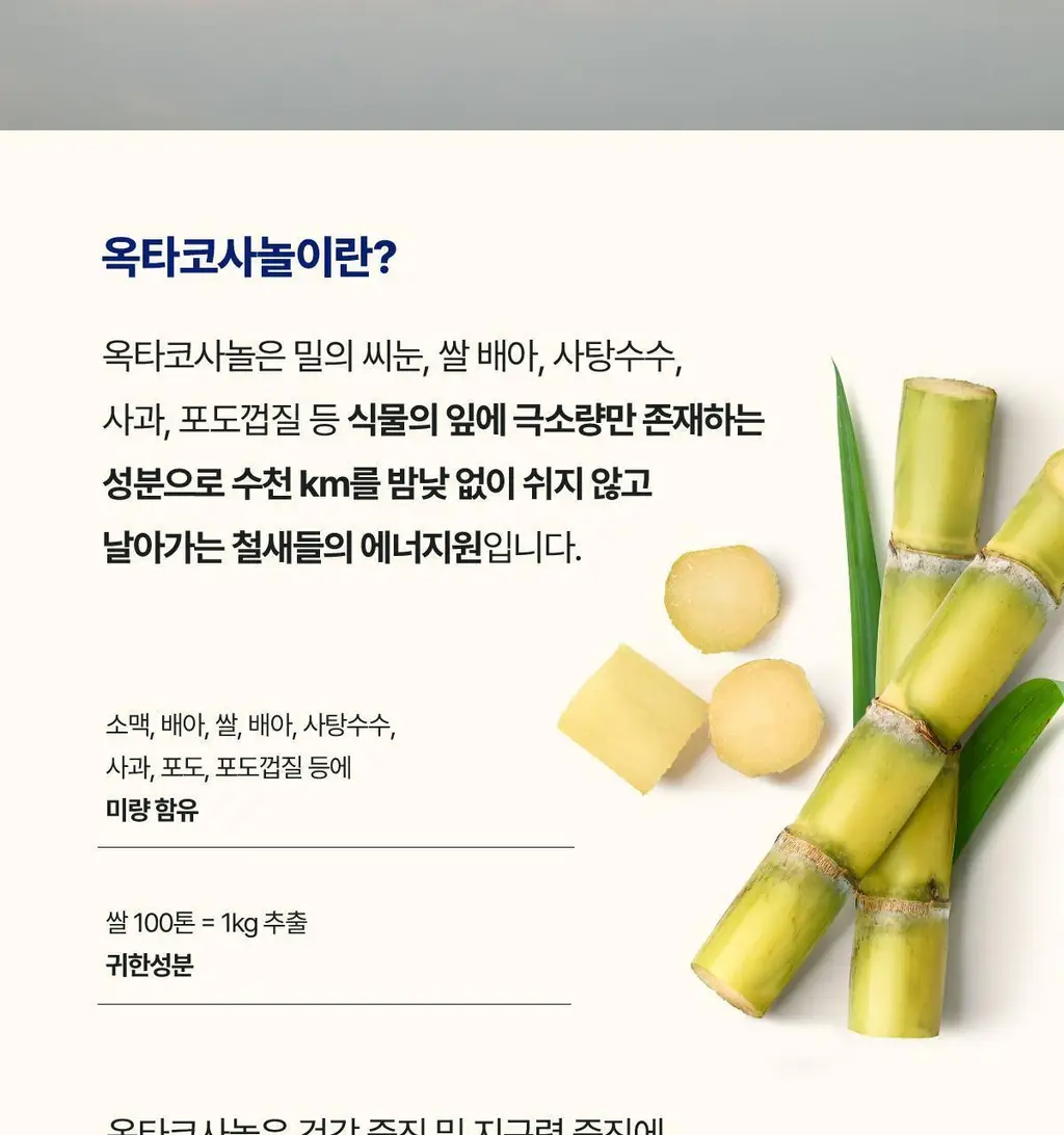 뉴케어 스포식스 옵티멈 비타민B (900mgX30정) 상세페이지 13
