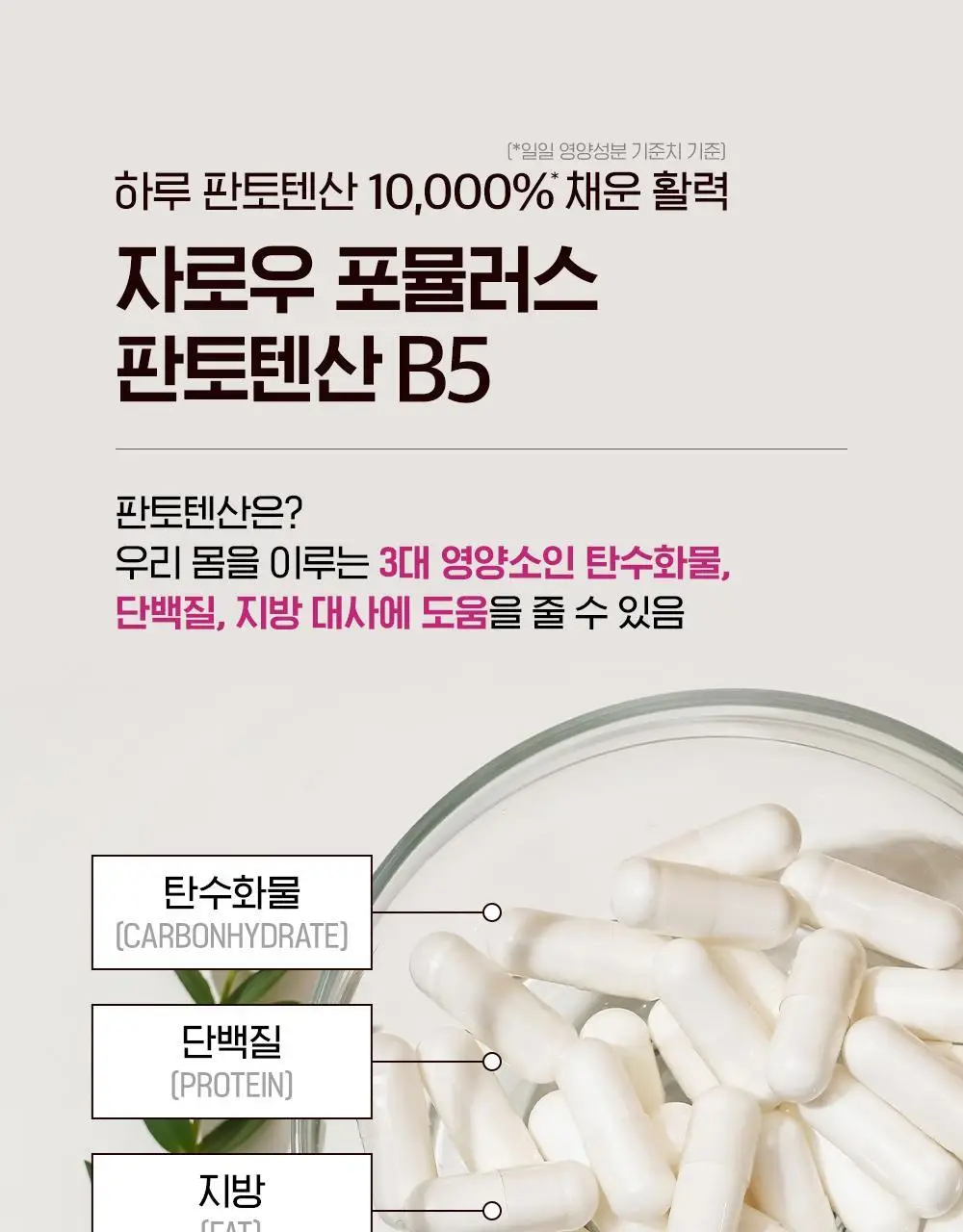 자로우 판토텐산 B5 100캡슐 (100일분) 상세페이지 12