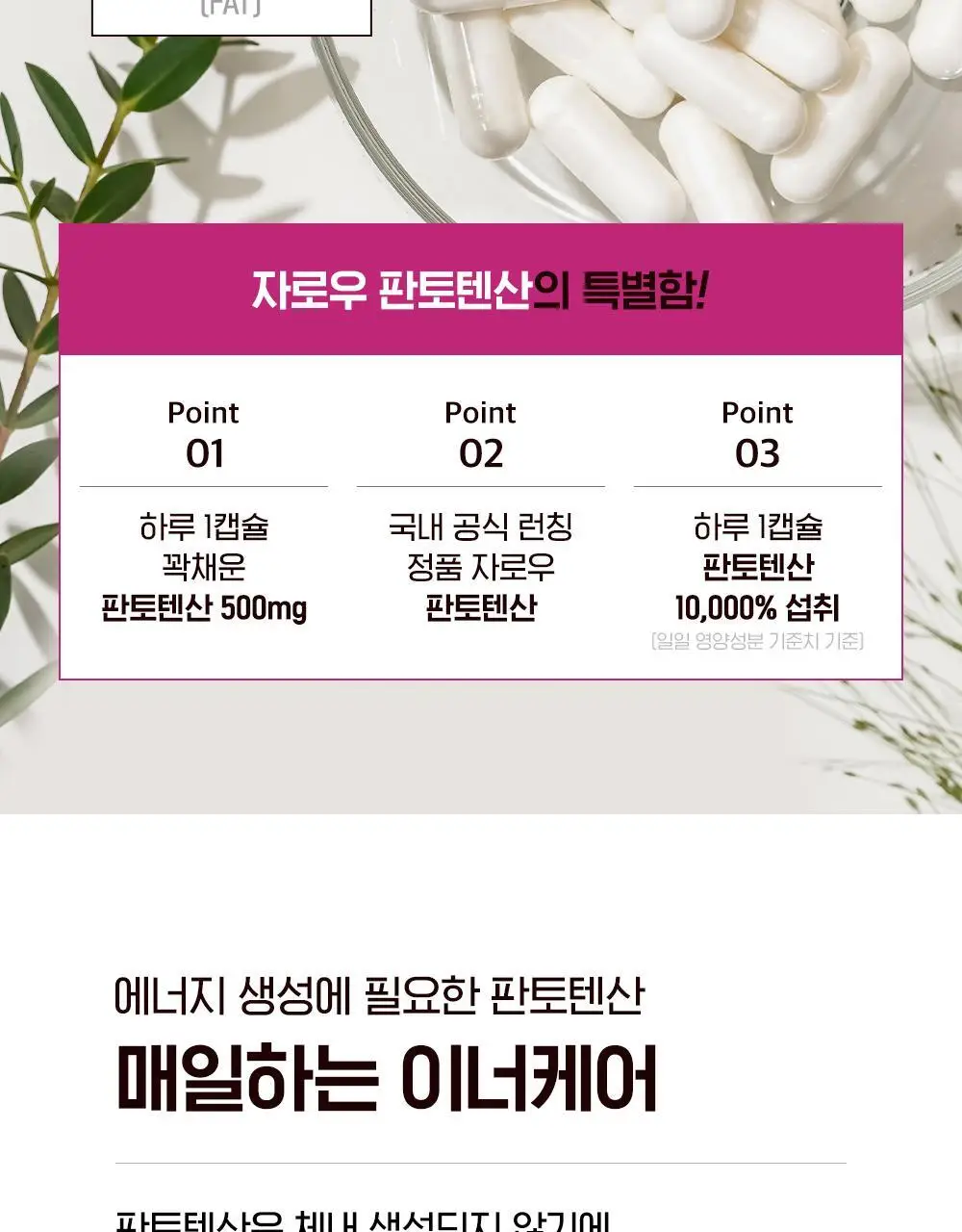 자로우 판토텐산 B5 100캡슐 (100일분) 상세페이지 13