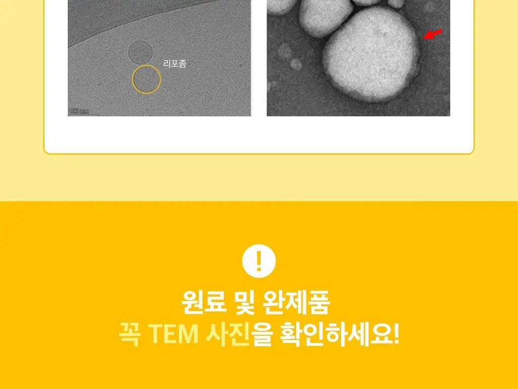 닥터린 리포좀 비타민C 맥스 30포 (1개월분) 상세페이지 11