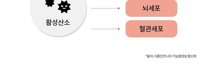 덴프스 비타민C 바이탈 30포 (1개월분) 상세페이지 18