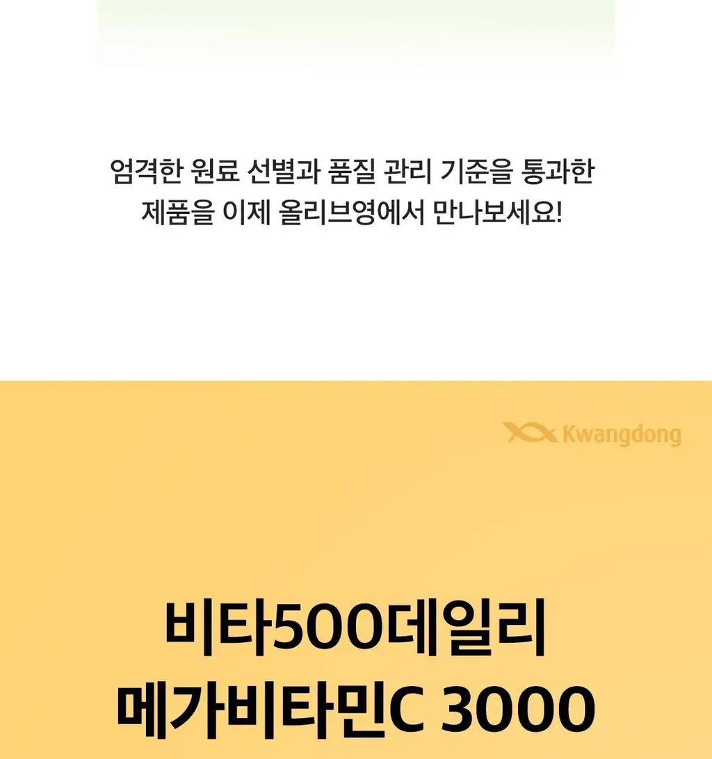 비타500 데일리 메가비타민C 3000 30포 (1개월분) 상세페이지 2