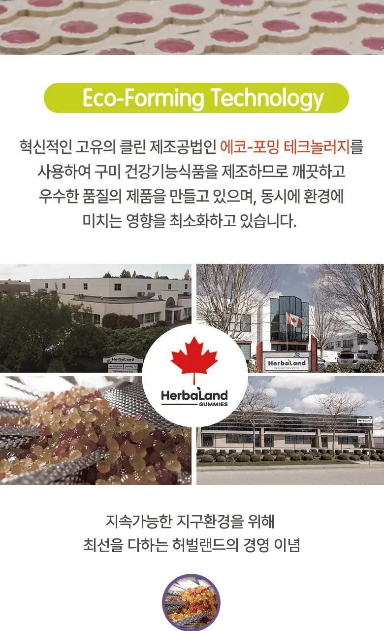 허벌랜드 울트라 비타민D3 2000 IU 식물성 구미젤리 30구미 (1개월분) 상세페이지 18