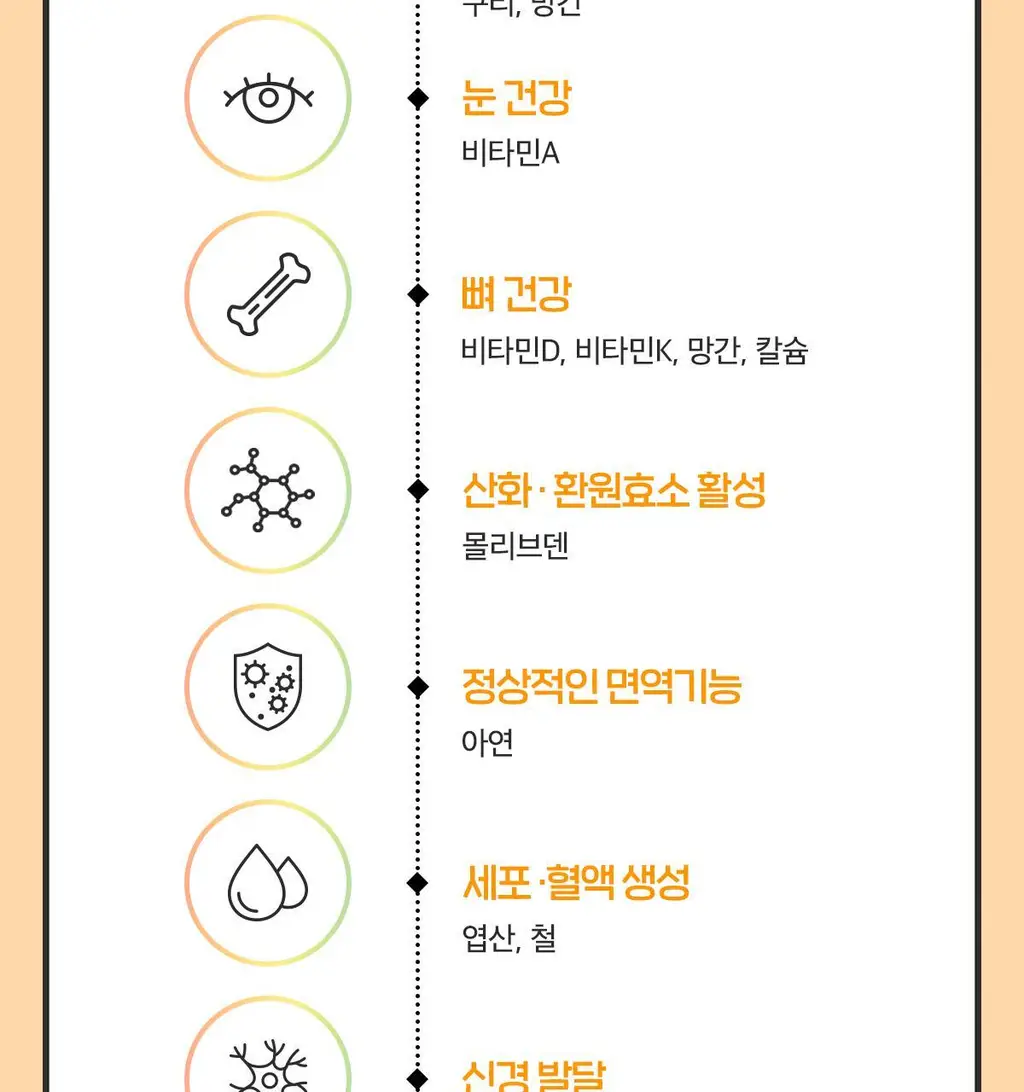 닥터린 23종 영양성분 올인원 멀티비타민미네랄 맥스 60정 (2개월분) 상세페이지 9