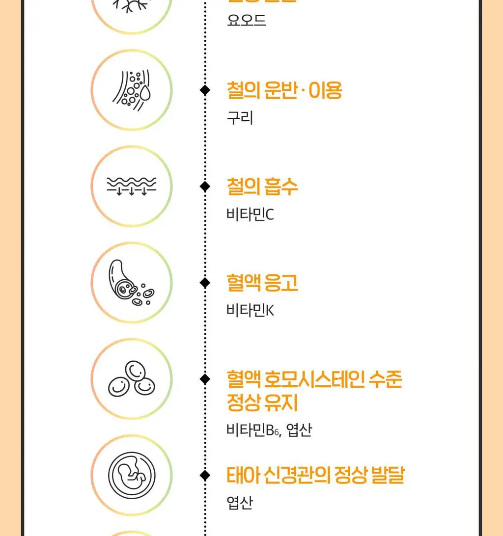 닥터린 23종 영양성분 올인원 멀티비타민미네랄 맥스 60정 (2개월분) 상세페이지 10