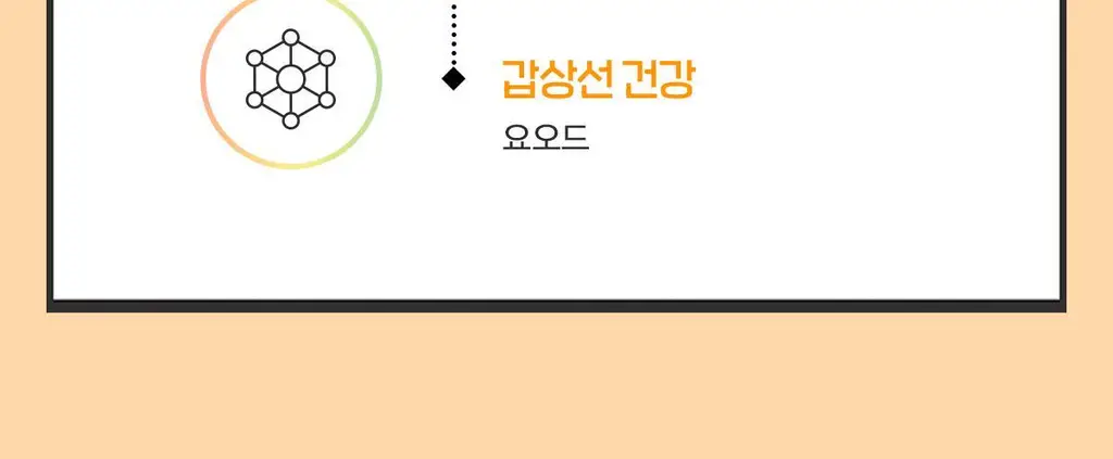 닥터린 23종 영양성분 올인원 멀티비타민미네랄 맥스 60정 (2개월분) 상세페이지 11