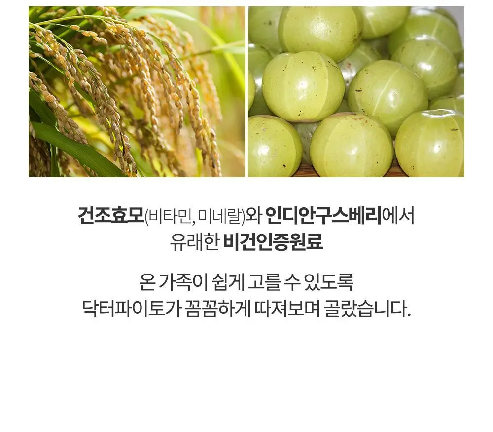 닥터파이토 비건 멀티비타민 미네랄 120정 (1개월분) 상세페이지 12