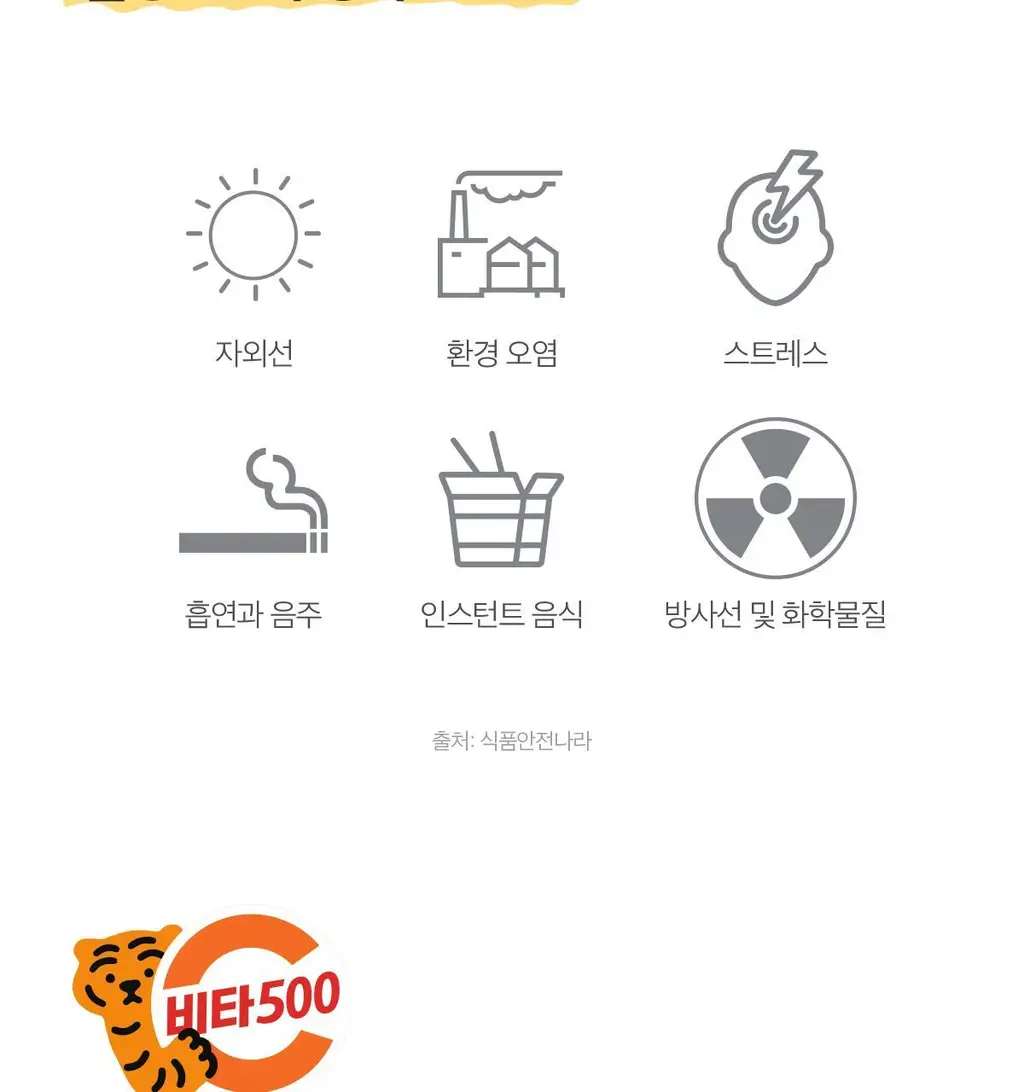 비타500 데일리스틱 70포(70일분) 상세페이지 42