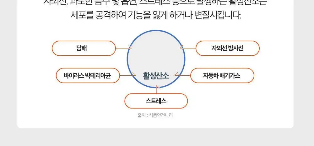 아임비타 멀티비타민 이뮨샷 포차코 콜라보 기획 12입 (+파우치 증정) (12일분) 상세페이지 19