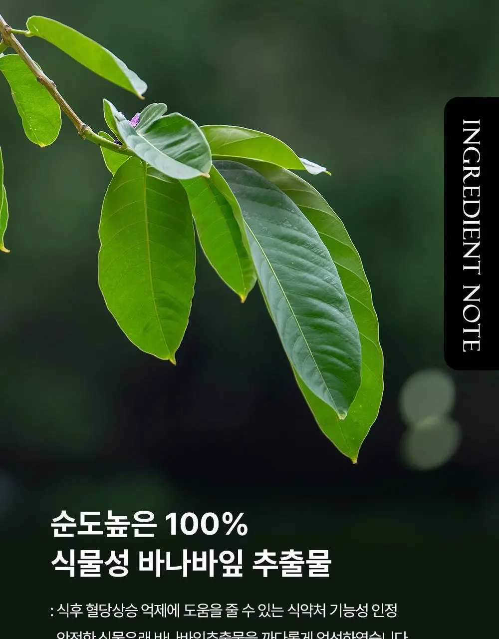 뉴오리진 혈당&면역케어 30정 (1개월분) 상세페이지 4