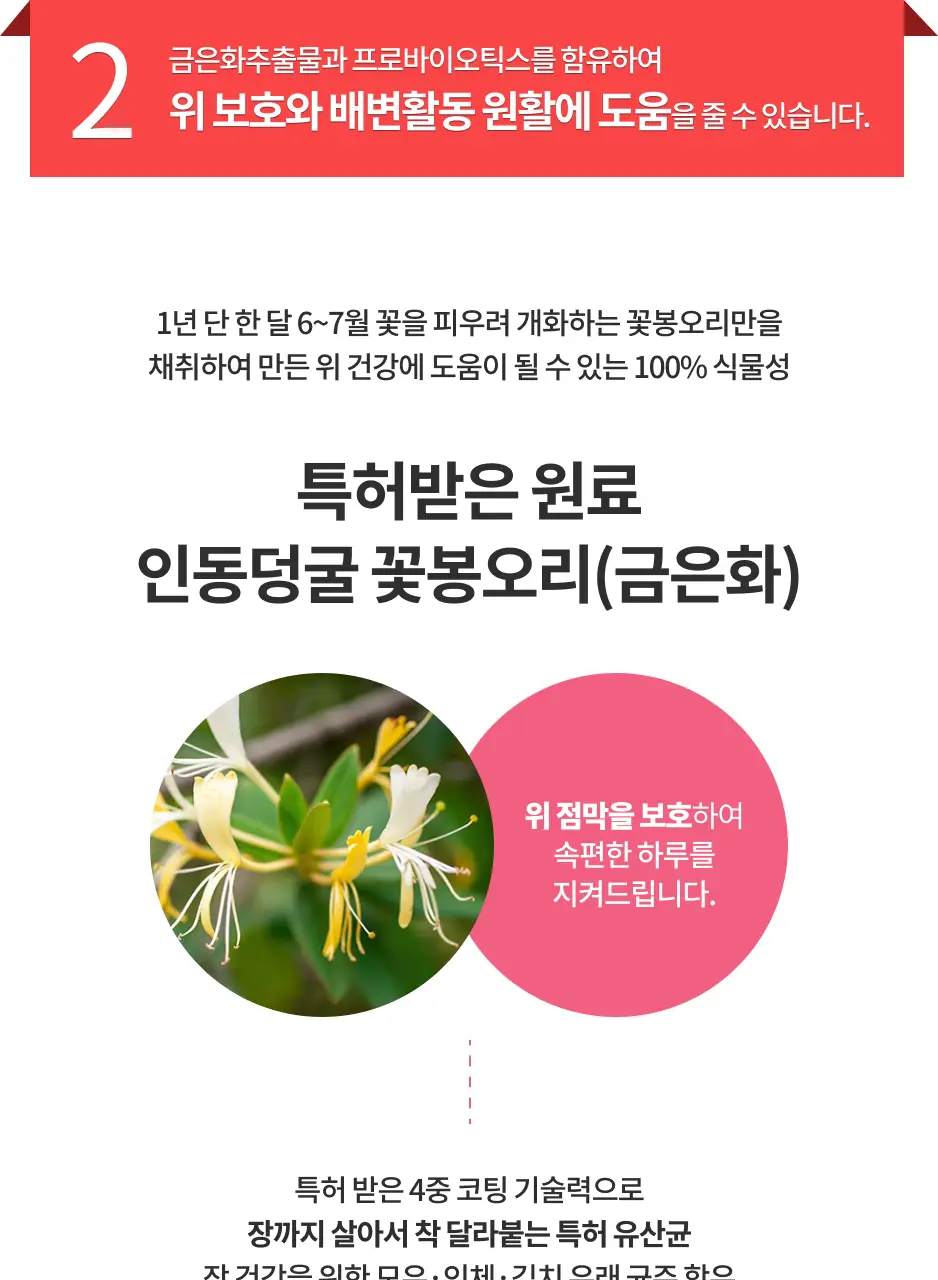 닥터아돌 위디어트 히카바이오틱스 하이드록시 시트르산 21포 (21일분) 상세페이지 5