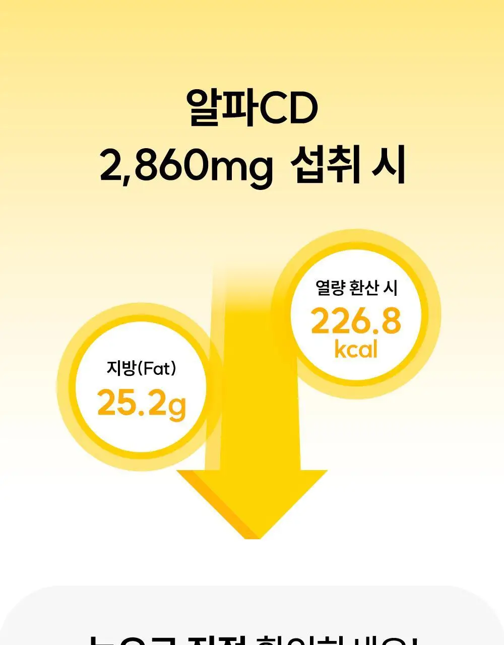 라이킷 쓸림쏙 씬덱스 3500 10포 (10일분) 상세페이지 13