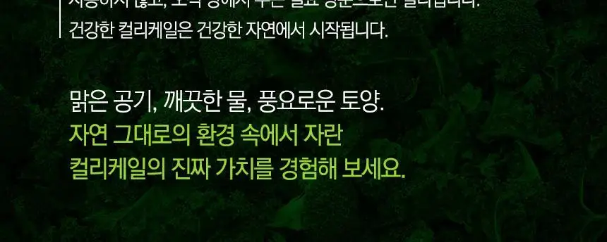 락티브 유기농 100% 컬리케일 14포 (14일분) 상세페이지 5