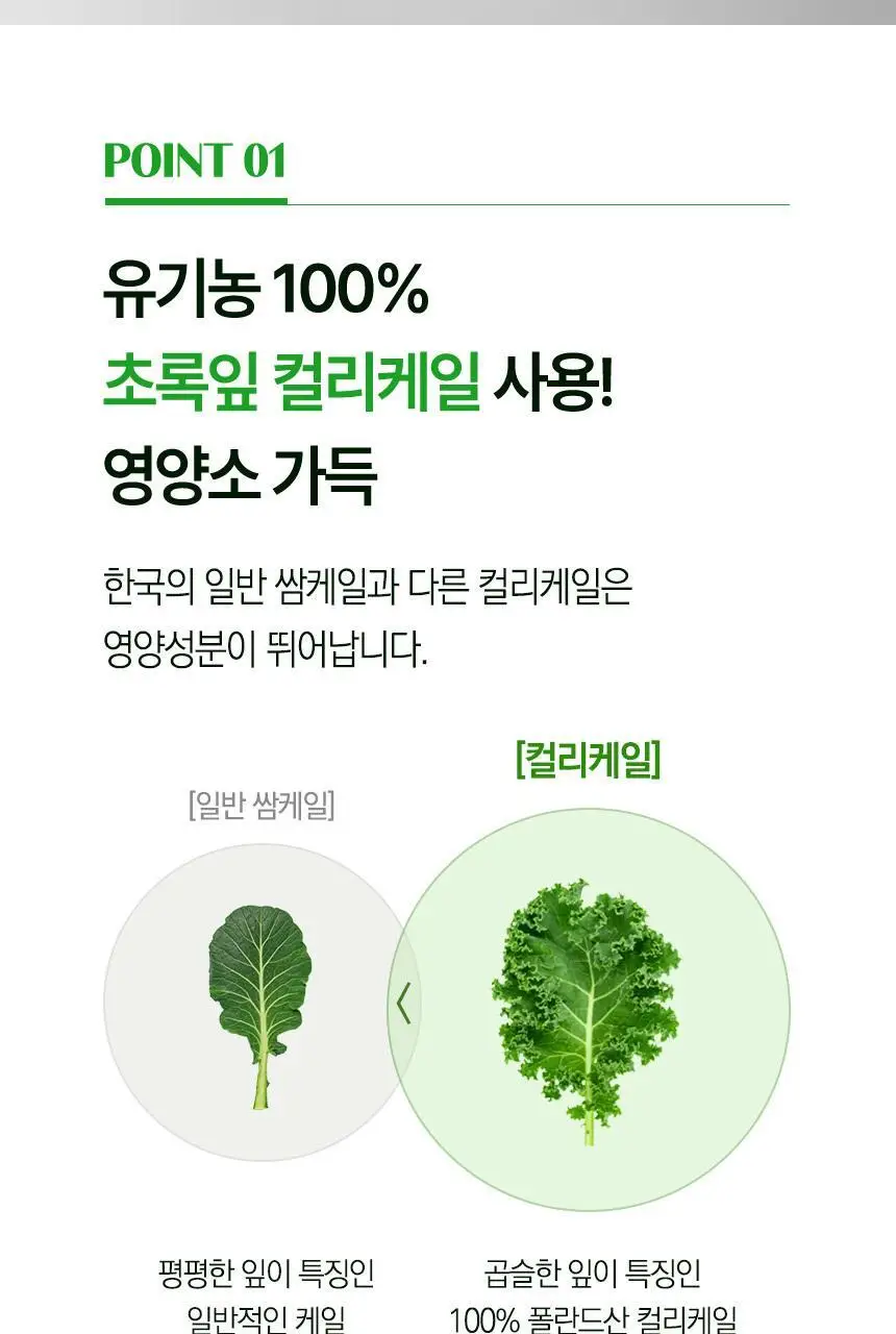 락티브 유기농 100% 컬리케일 14포 (14일분) 상세페이지 12