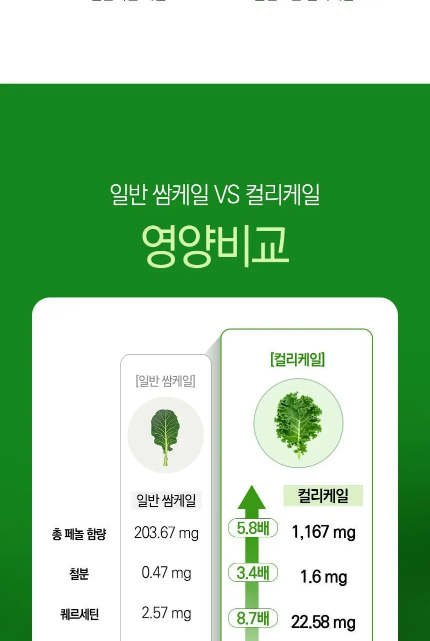 락티브 유기농 100% 컬리케일 14포 (14일분) 상세페이지 13