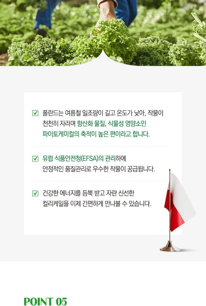 락티브 유기농 100% 컬리케일 14포 (14일분) 상세페이지 28
