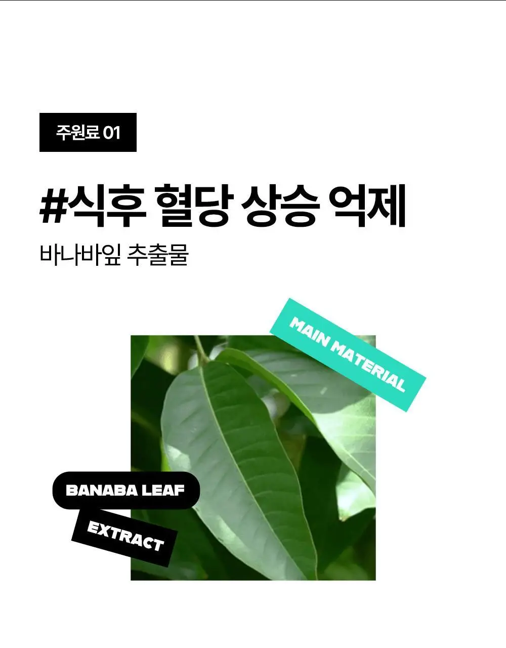 룰더핏 에스컷 & 액티브 다이어트 14EA 상세페이지 17