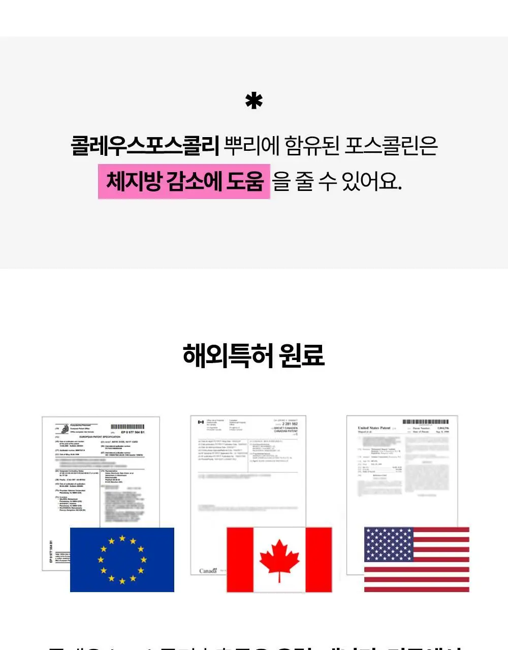 룰더핏 에스컷 & 액티브 다이어트 14EA 상세페이지 22