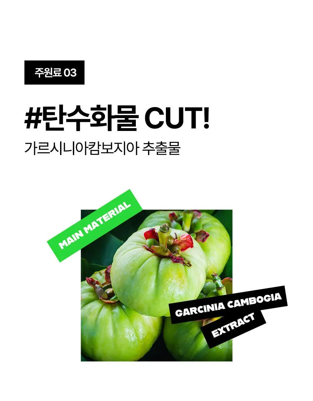 룰더핏 에스컷 & 액티브 다이어트 14EA 상세페이지 27