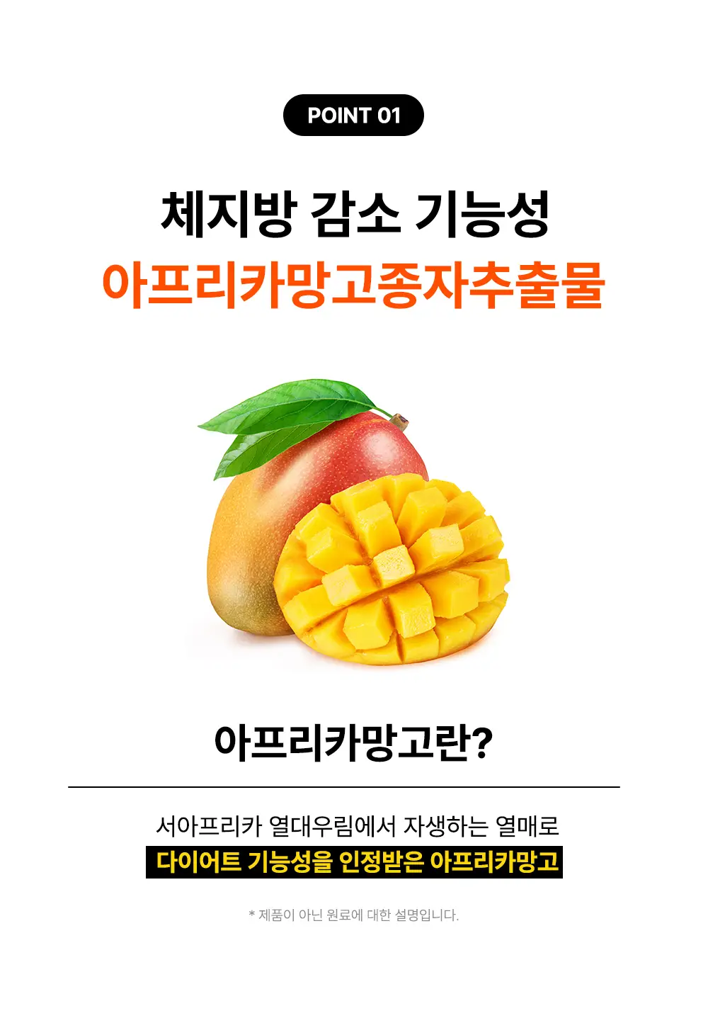 룰더핏 에프컷 망고 버닝 에이드 14EA 상세페이지 10