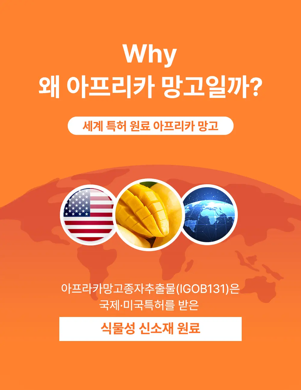 룰더핏 에프컷 망고 버닝 에이드 14EA 상세페이지 12