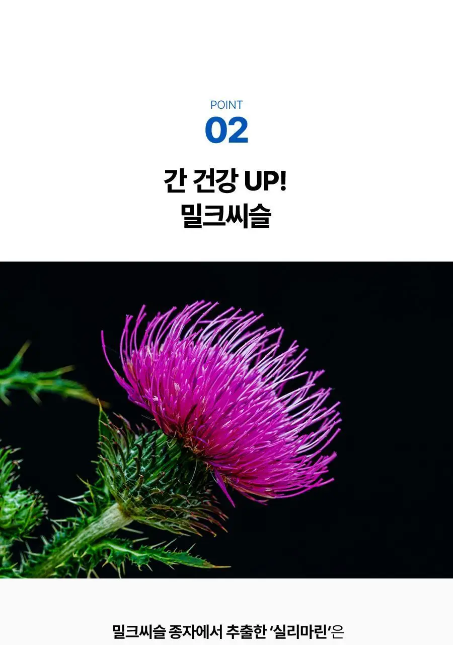 맨올로지 컷 PRO 800mg*40정/80정 택 1 상세페이지 33