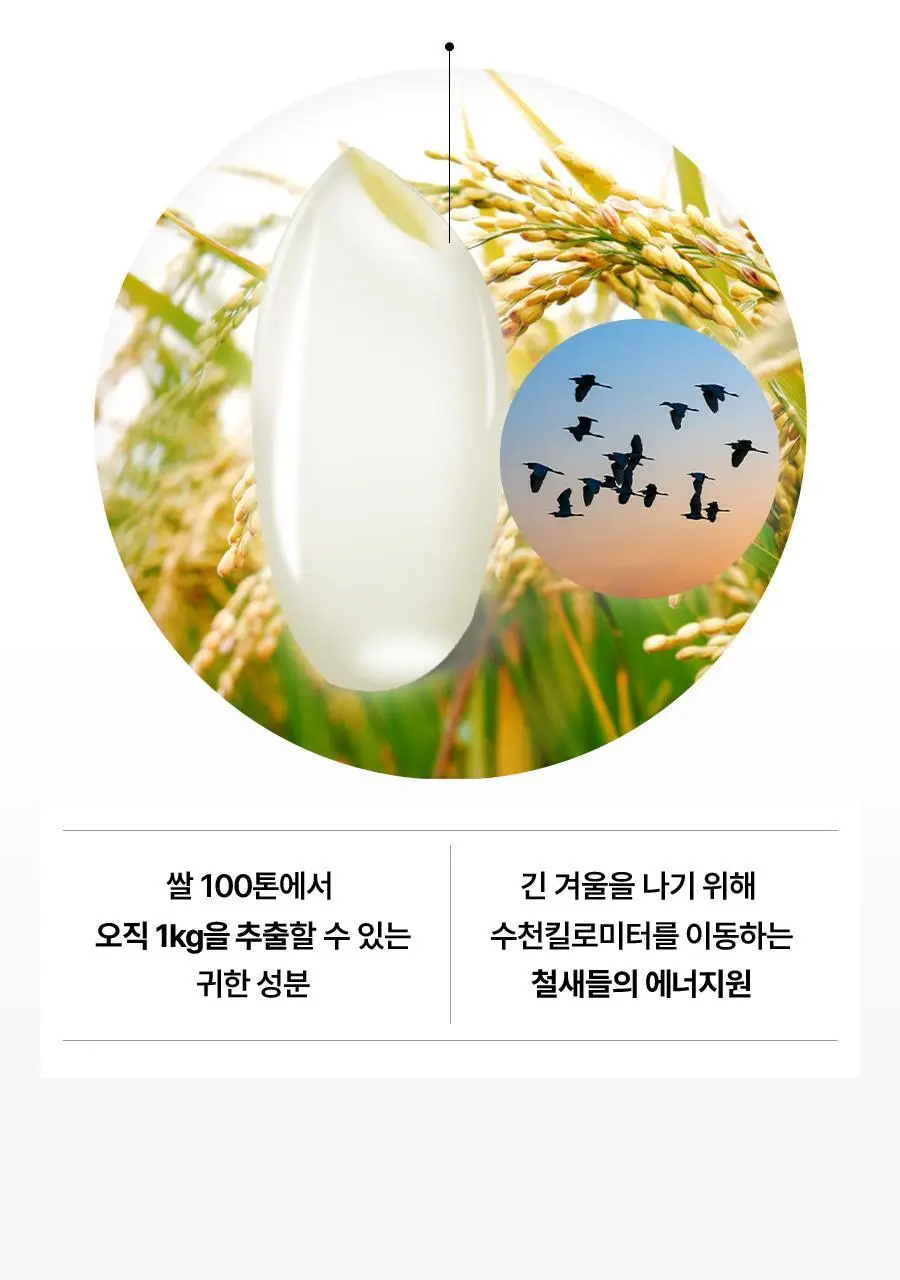 맨올로지 컷 PRO 800mg*40정/80정 택 1 상세페이지 39