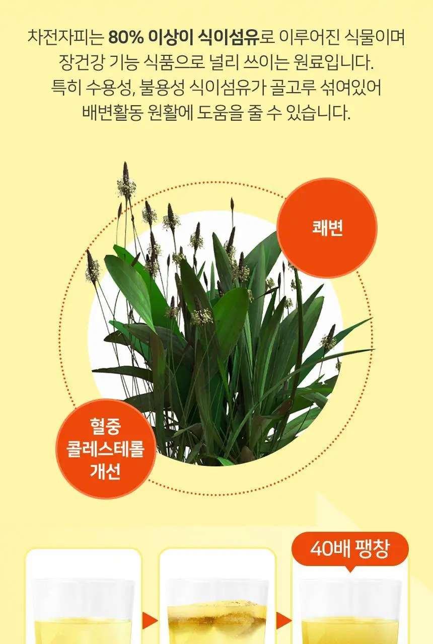 메디트리 비움 차전자피 다이어트 28포 1박스 (14일분) 상세페이지 12
