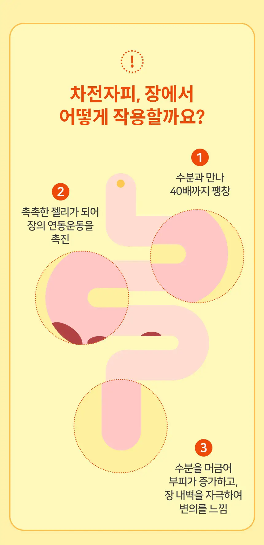 메디트리 비움 차전자피 다이어트 28포 1박스 (14일분) 상세페이지 14