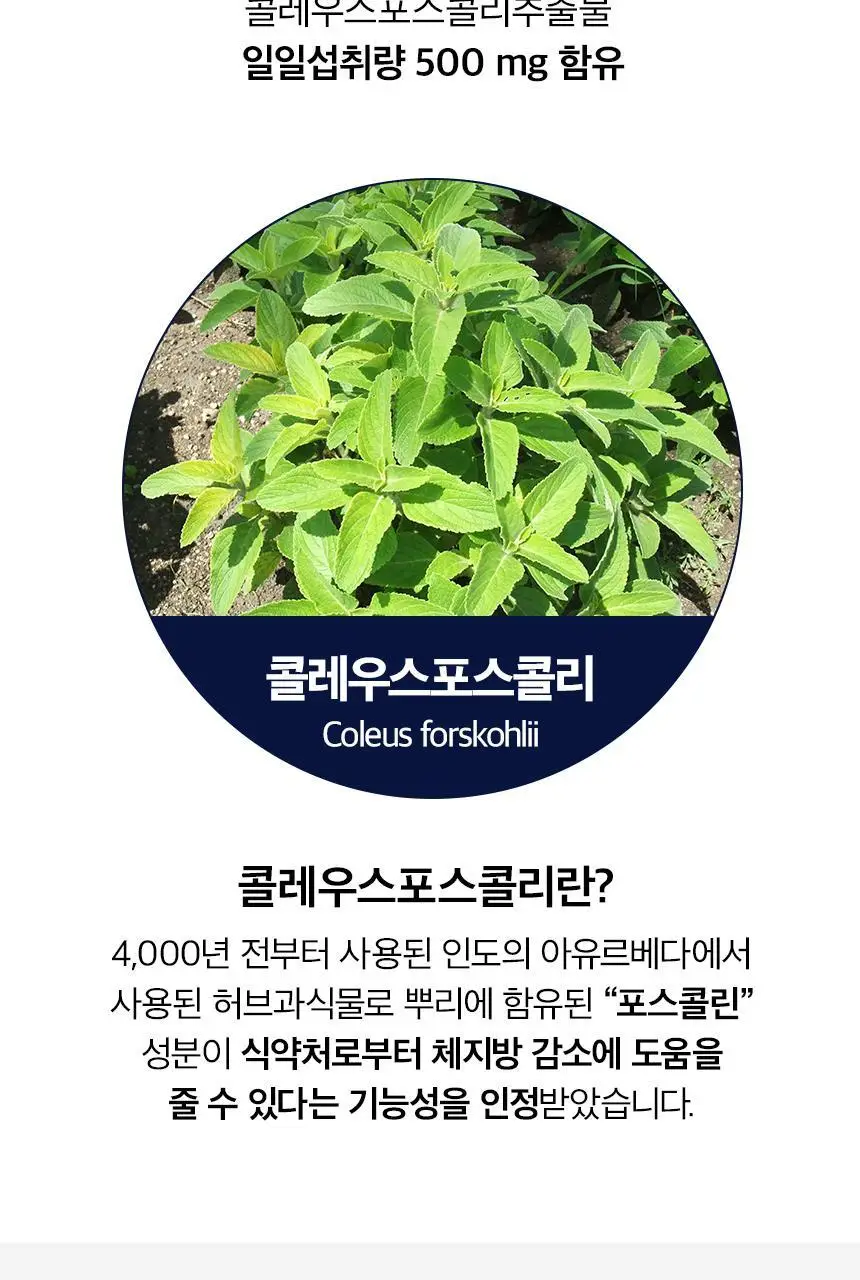 세리박스 세리번 나이트 기획세트 14포+2포 증정 (16일분) 상세페이지 12