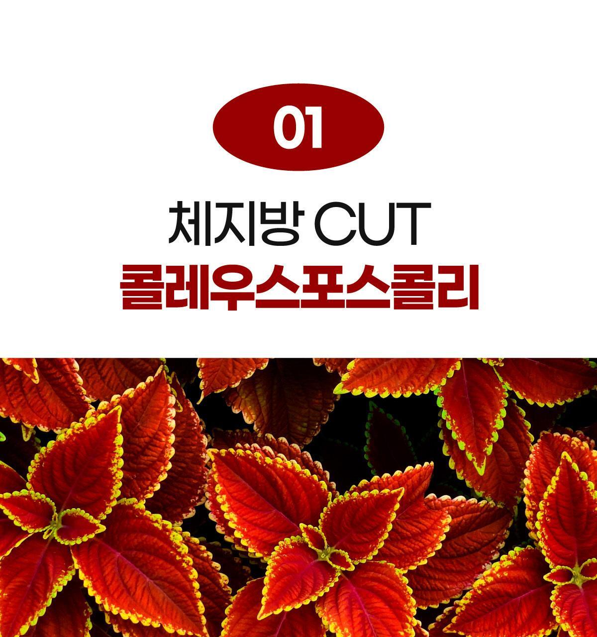 센트디 10일 다이어트 클렌즈 10포 (10일분) 상세페이지 25