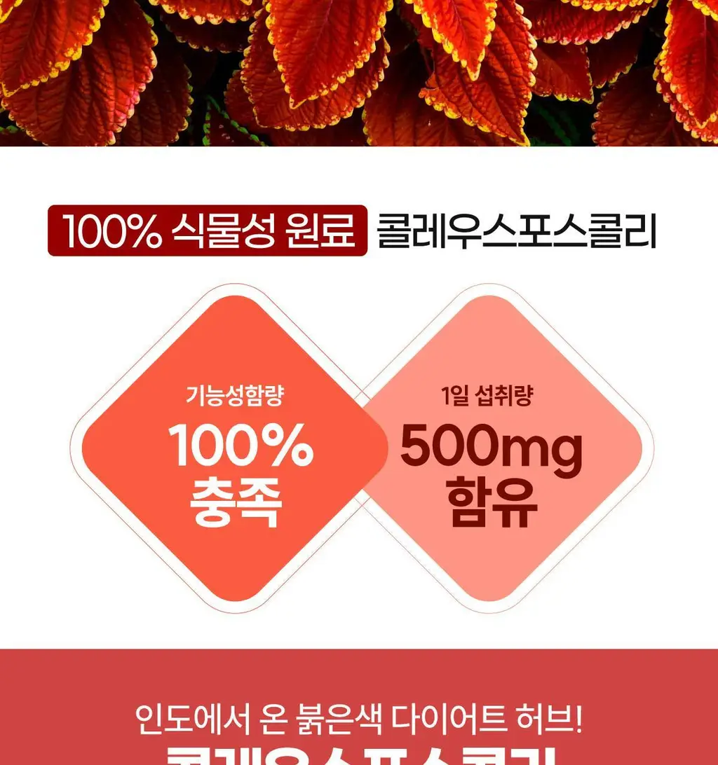 센트디 10일 다이어트 클렌즈 10포 (10일분) 상세페이지 28