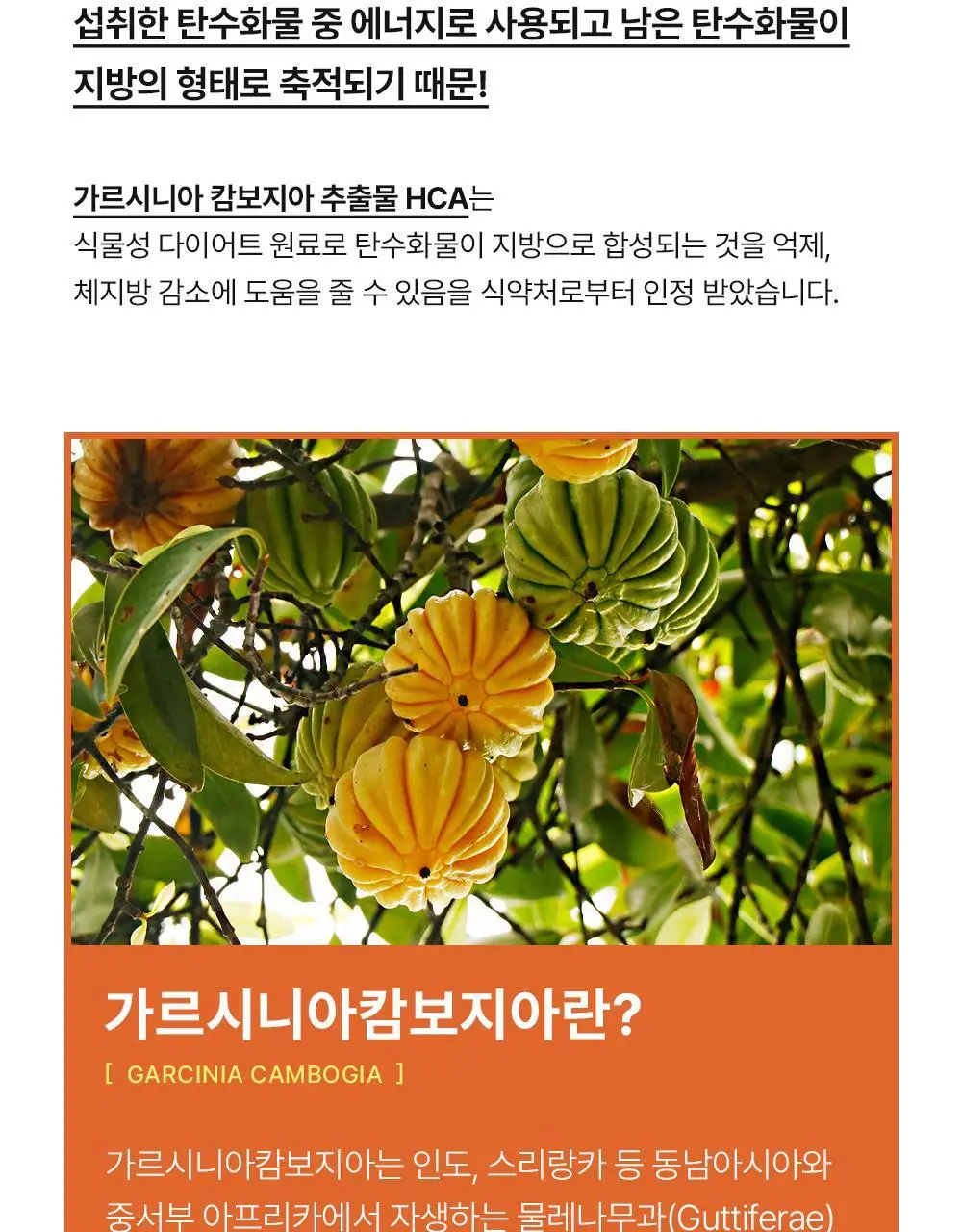 스키니랩 가르시니아 다이어트 14포 4박스 (8주분) 상세페이지 4
