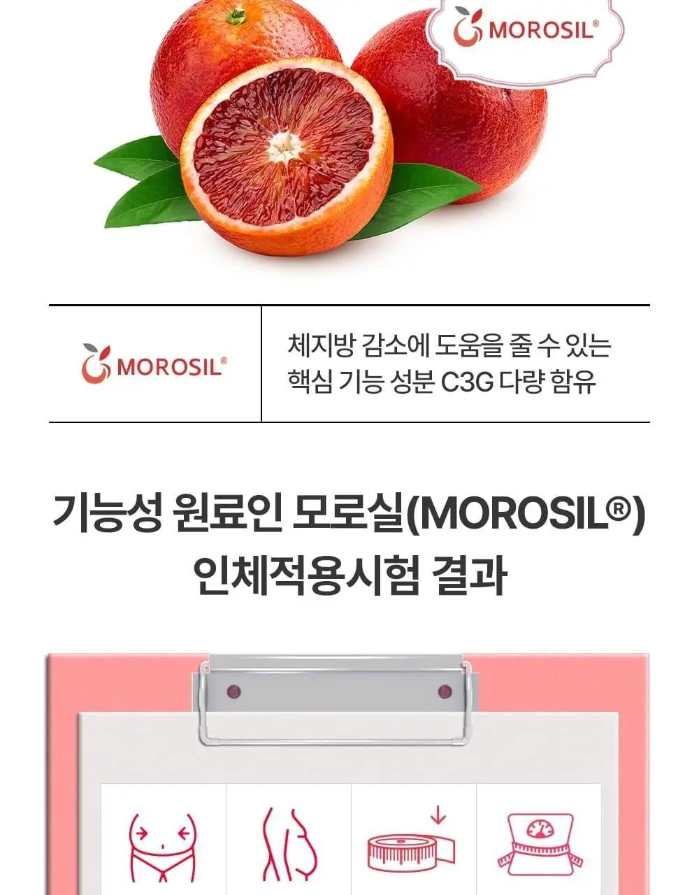 스키니랩 모로실 다이어트 C3G 테이스티 컷 14포 (14일분) 상세페이지 13