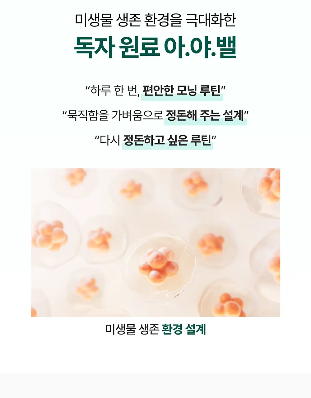 스톰 식이섬유정 1000 60정 (1개월분) 상세페이지 26