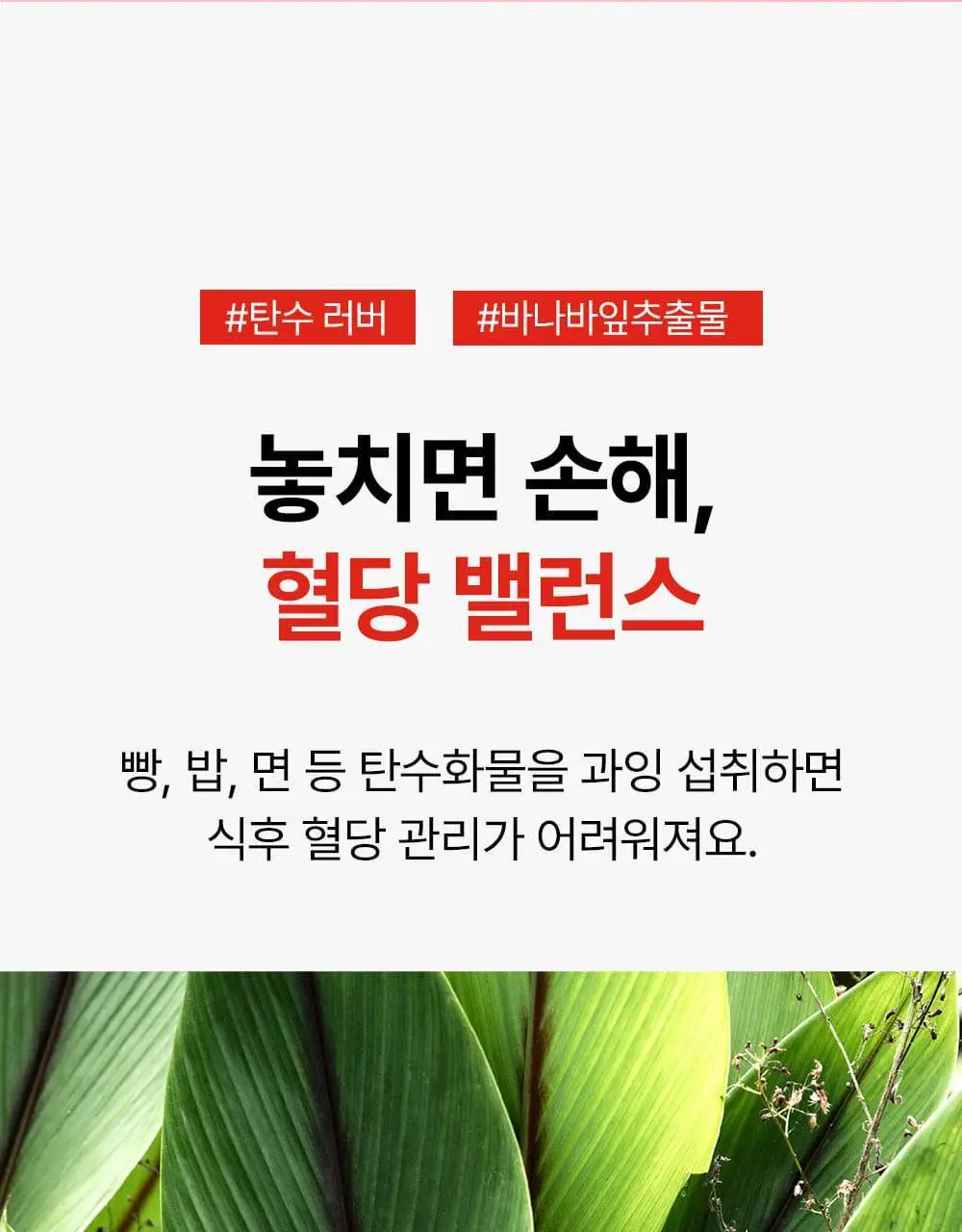 아일로 듀얼 슬림컷 60정 (1개월분 / 체지방감소, 식후 혈당 상승 억제) 상세페이지 15
