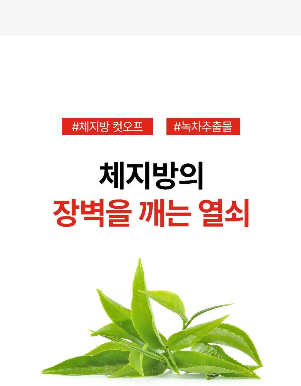 아일로 듀얼 슬림컷 60정 (1개월분 / 체지방감소, 식후 혈당 상승 억제) 상세페이지 18