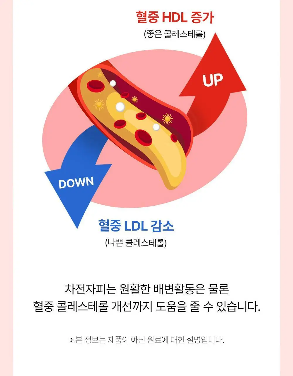 아일로 차전자피환 30포 (15일분 / 배변활동 원활) 상세페이지 16