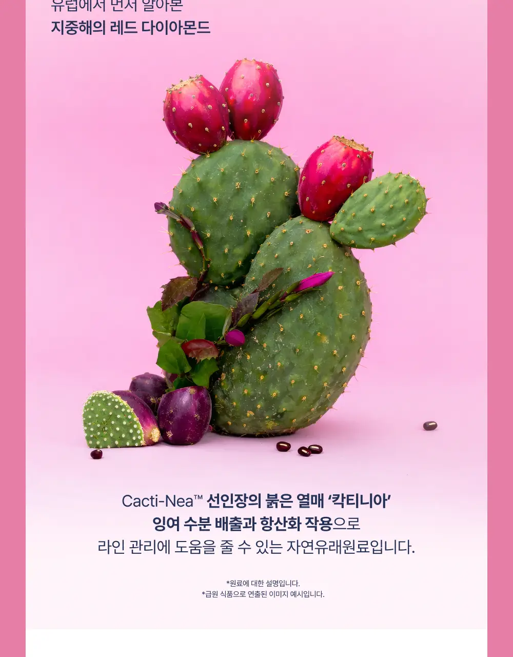 온리추얼 리셋 브이라인 7포 (+1포 증정) (8일분) 상세페이지 9