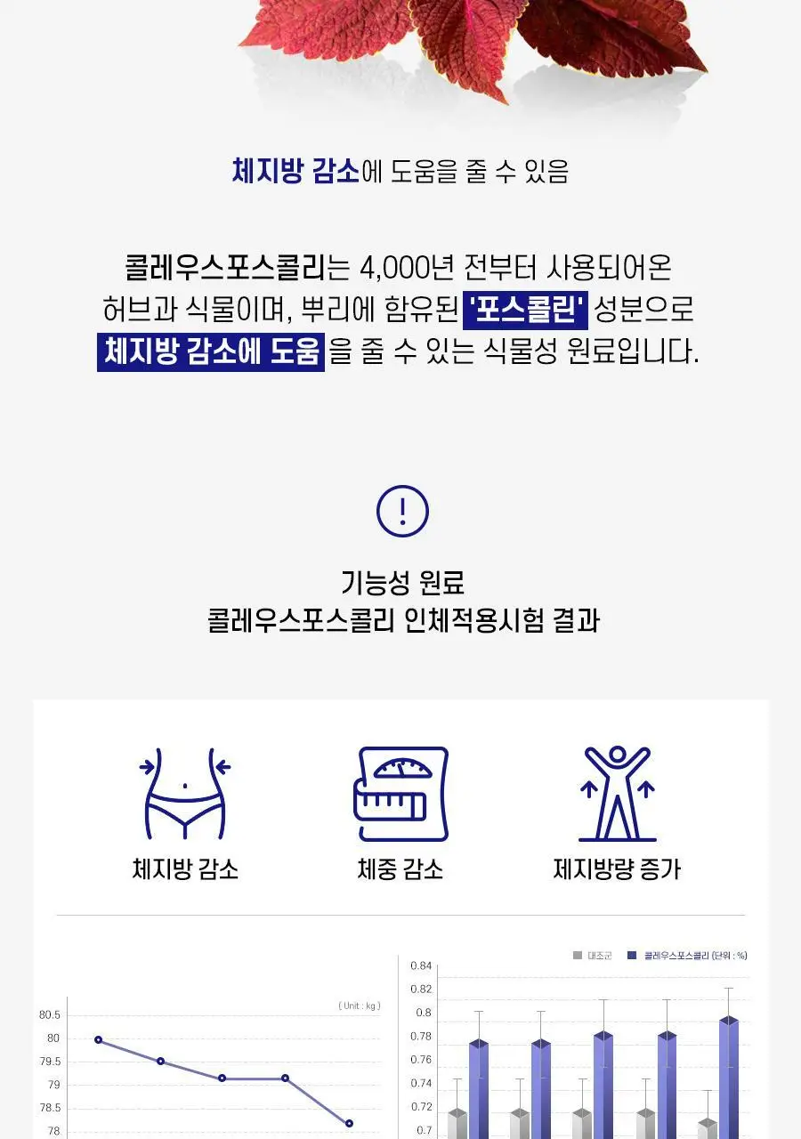 칼로 나이트 Relax 15포 (15일분) 상세페이지 6