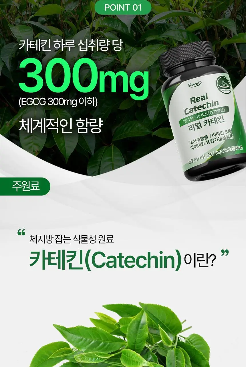 퍼니트 리얼 카테킨 800mg 60정 (2개월분) 상세페이지 5