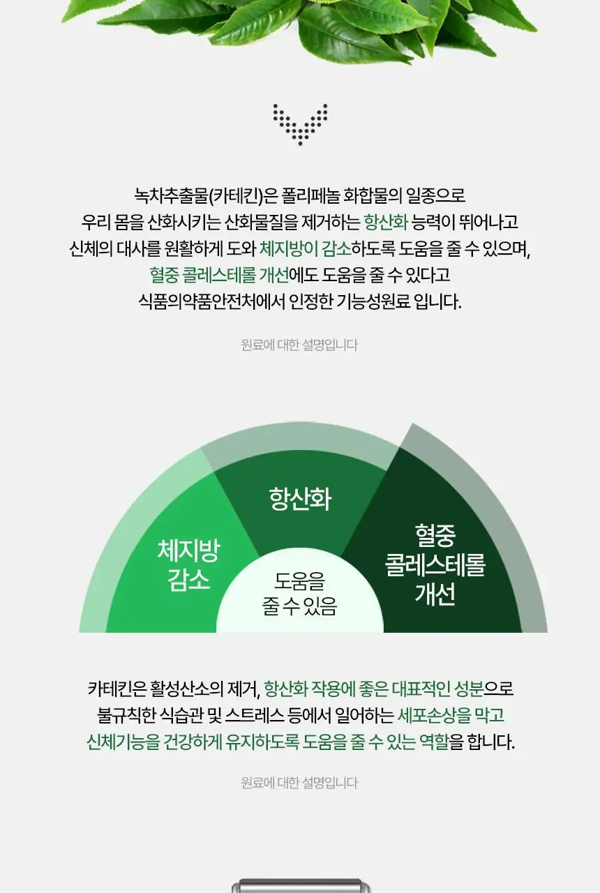퍼니트 리얼 카테킨 800mg 60정 (2개월분) 상세페이지 6