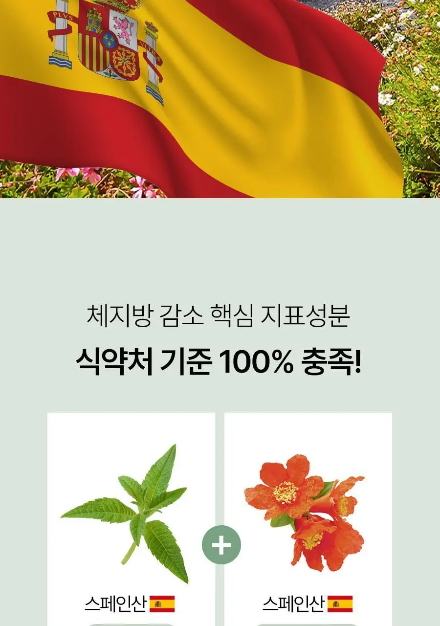 푸드올로지 지중해 레몬버베나 500mg 30정/60정 택1 상세페이지 17