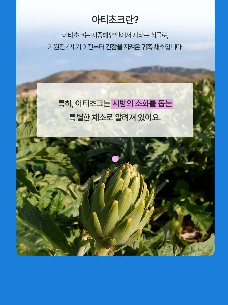 푸드올로지 지중해 아티초크 800mg 20정/40정 택1 상세페이지 10