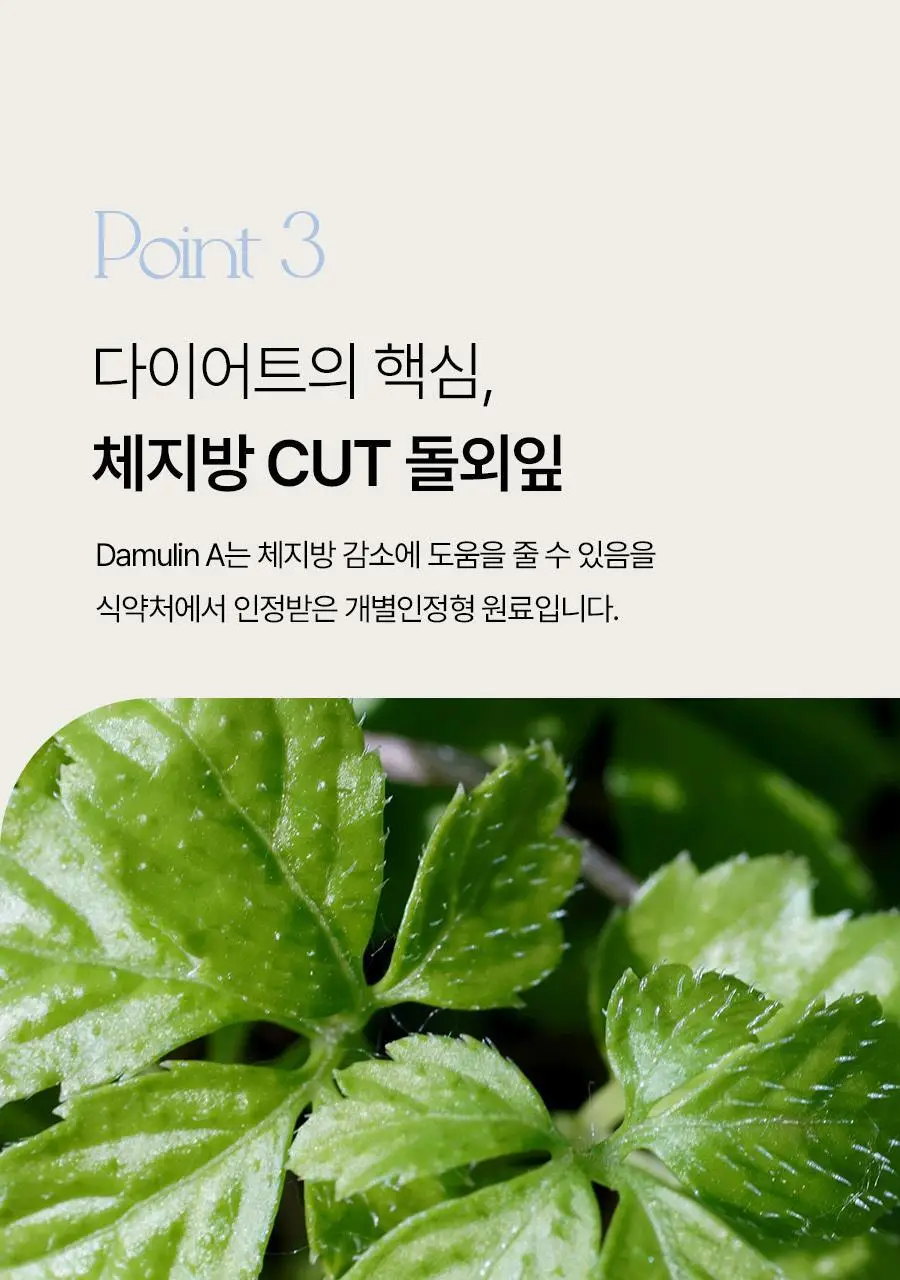 푸드올로지 지중해 아티초크 800mg 20정/40정 택1 상세페이지 27