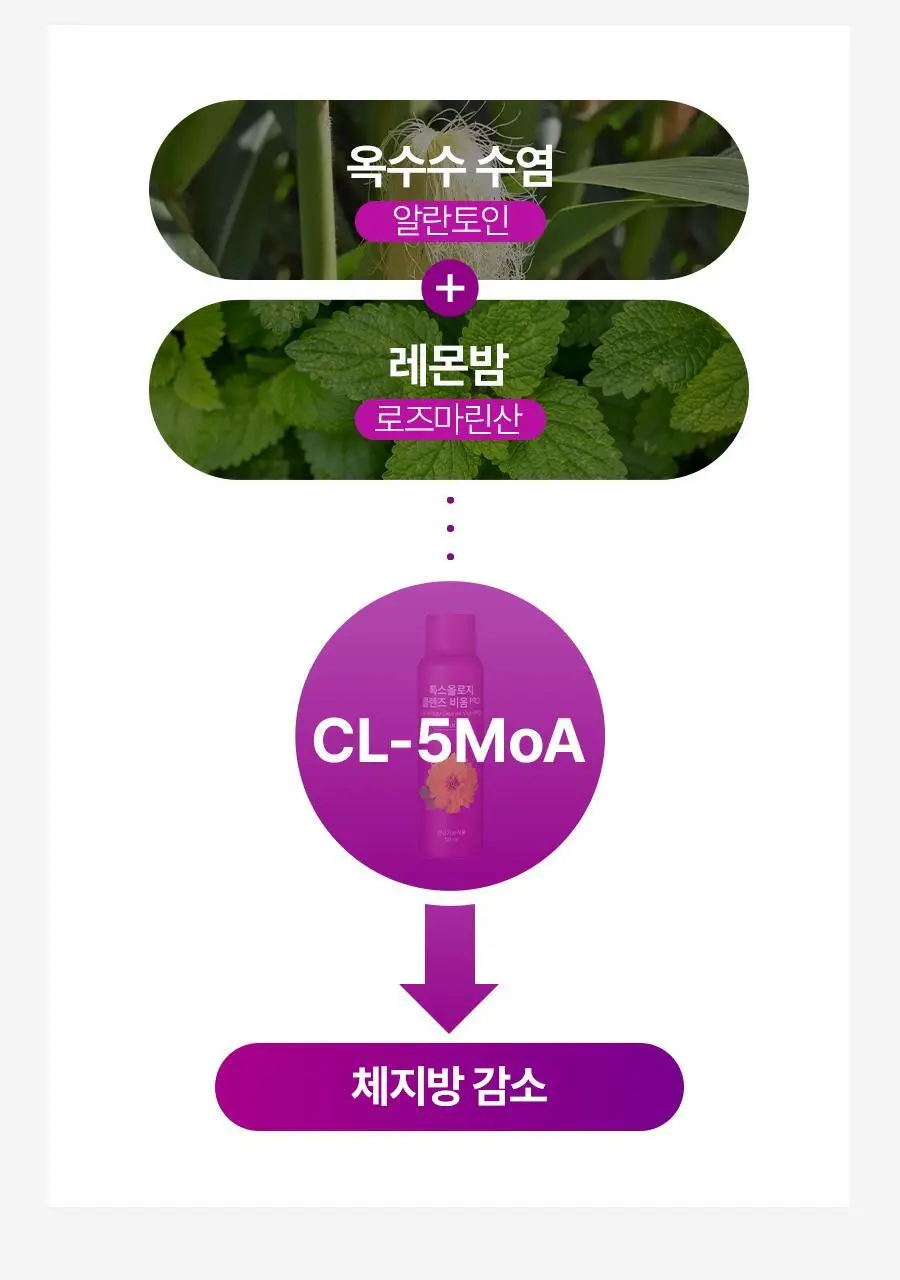 푸드올로지 톡스올로지 클렌즈 비움 PRO 50ml*6병 (6회분) 상세페이지 33